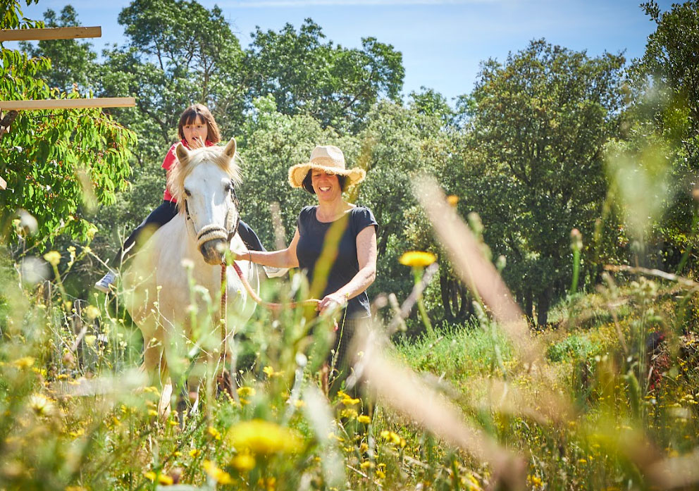 Cercle des participants dans la nature